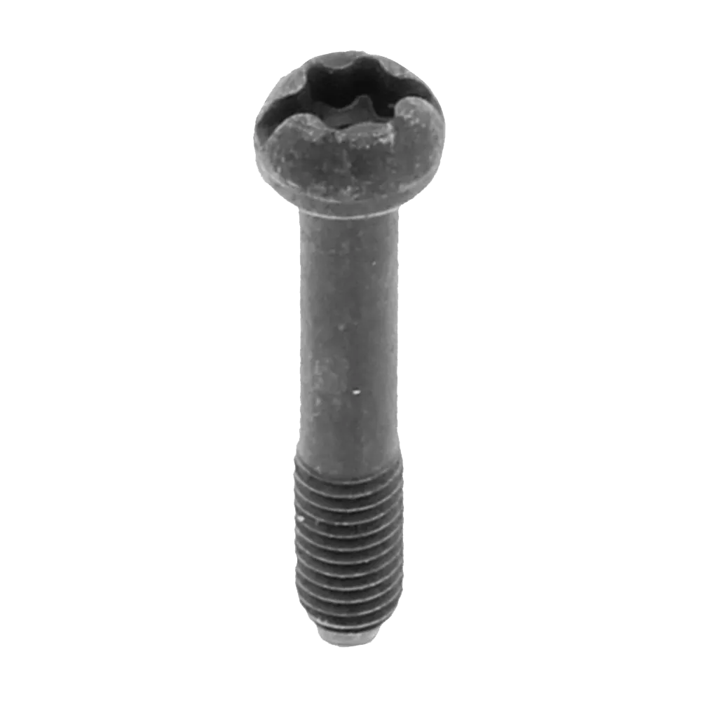 PARAFUSO CAPU 61/254/257/268/288