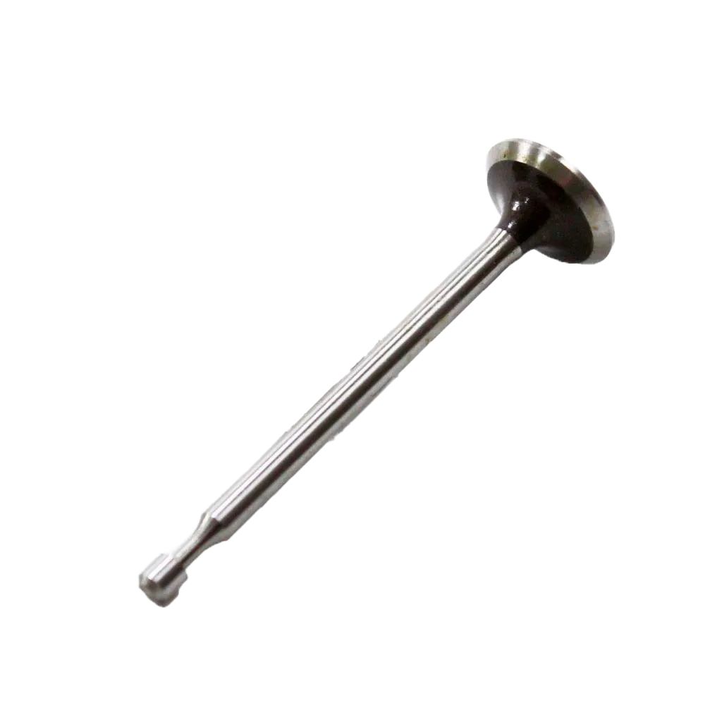 VALVULA EXAUSTAO W40P