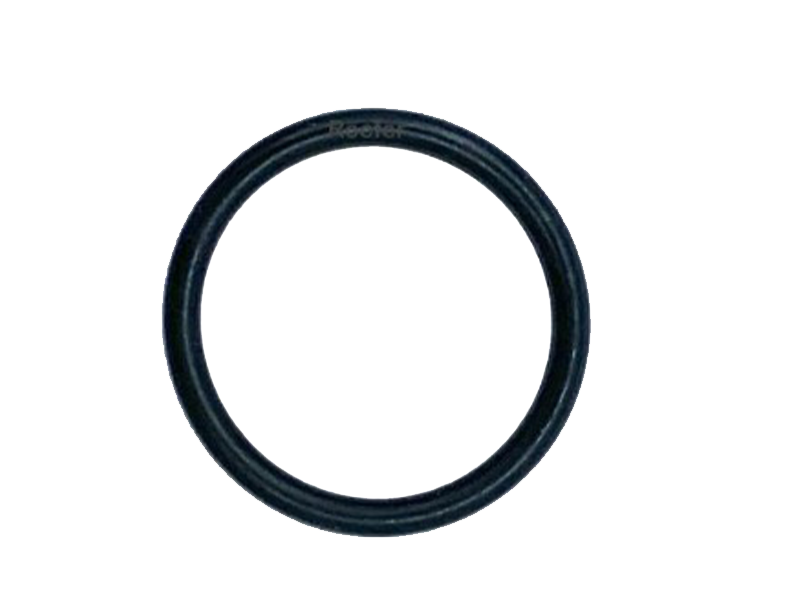 ANEL O RING 18