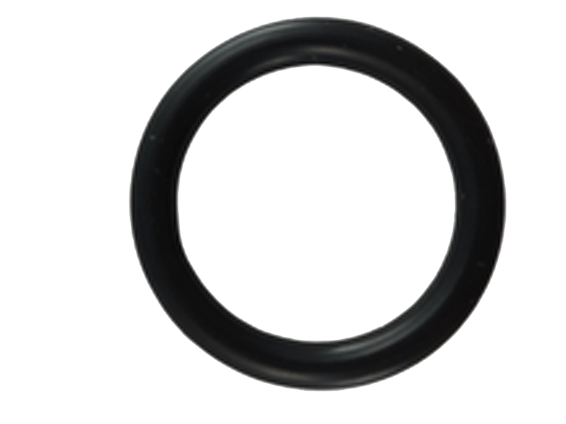 ANEL O-RING 22