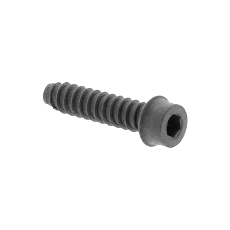 PARAFUSO 5/16-18X2-1/2/PZ6029FX